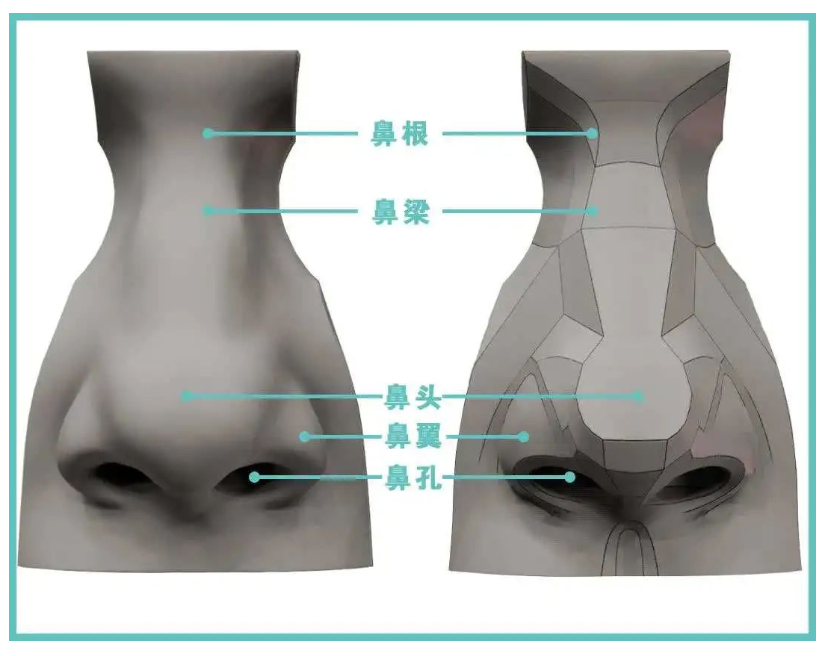 大鼻頭能(néng)單獨整形嗎