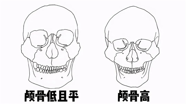 高顱頂是什麼(me)意思