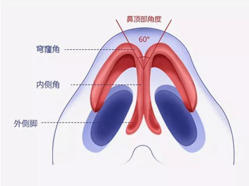 鼻尖不好(hǎo)看怎麼(me)辦？鼻尖整形有哪些方法?